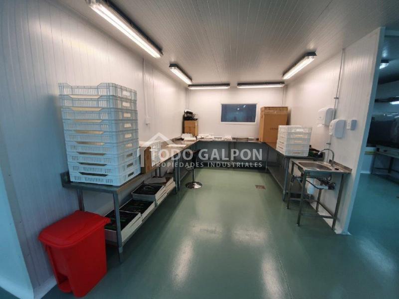Venta de Galpón Industrial - Semiindustrial ( Mixta ) - El Trebol - Padre Hurtado.